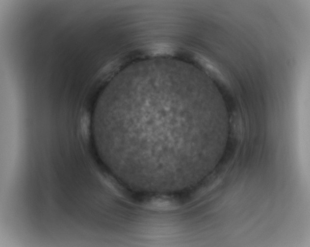 X0000114130550200910081246