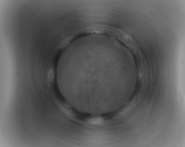 X0000114130551200910081246