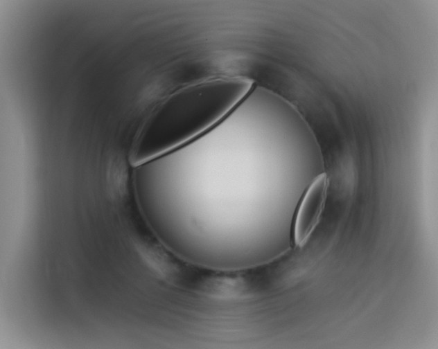 X0000114130552200910081246