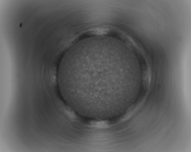 X0000114130553200910081246