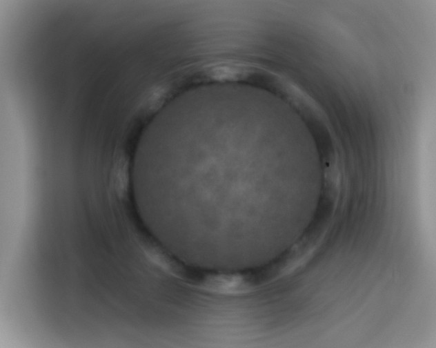 X0000114130554200910081246