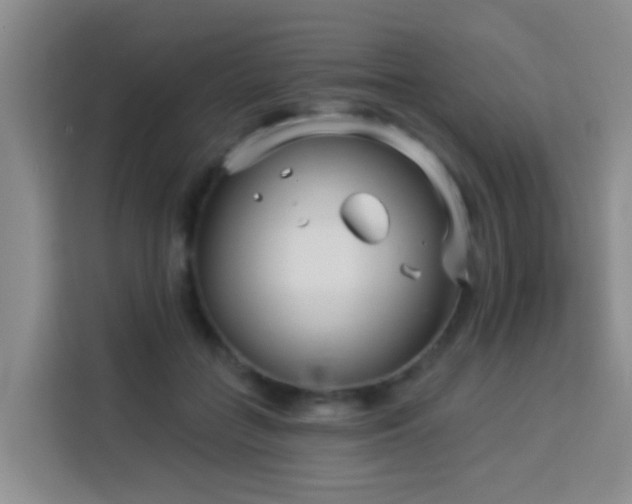 X0000114130555200910081246