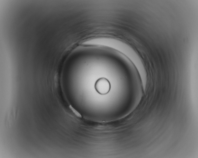 X0000114130556200910081246
