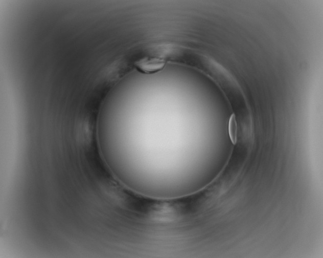 X0000114130558200910081246