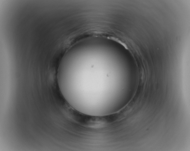 X0000114130559200910081246