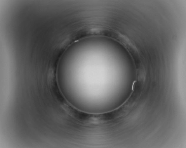 X0000114130560200910081246
