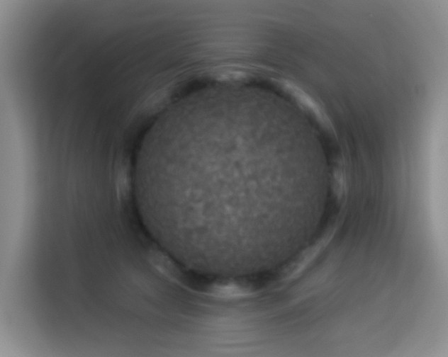 X0000114130561200910081246