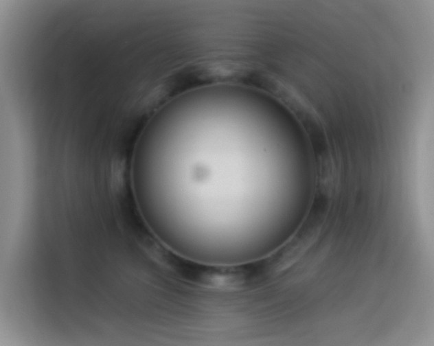 X0000114130563200910081247