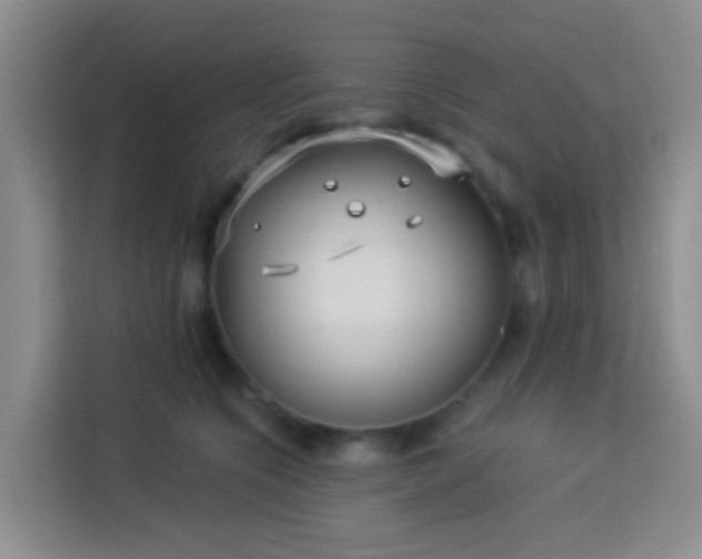 X0000114130564200910081247