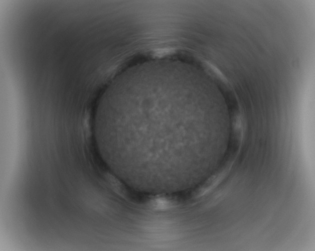 X0000114130565200910081247