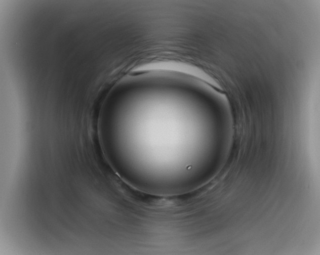 X0000114130566200910081247