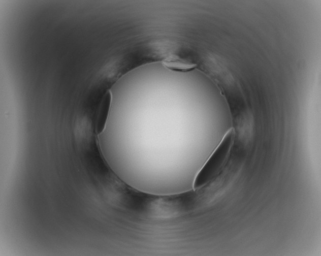 X0000114130568200910081247