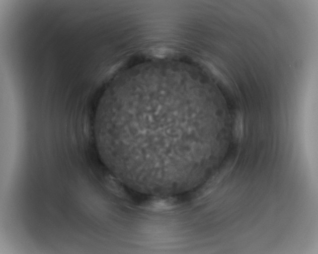 X0000114130569200910081247