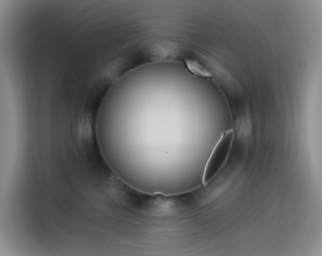 X0000114130570200910081247