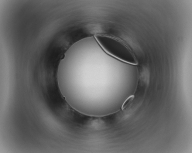 X0000114130572200910081247