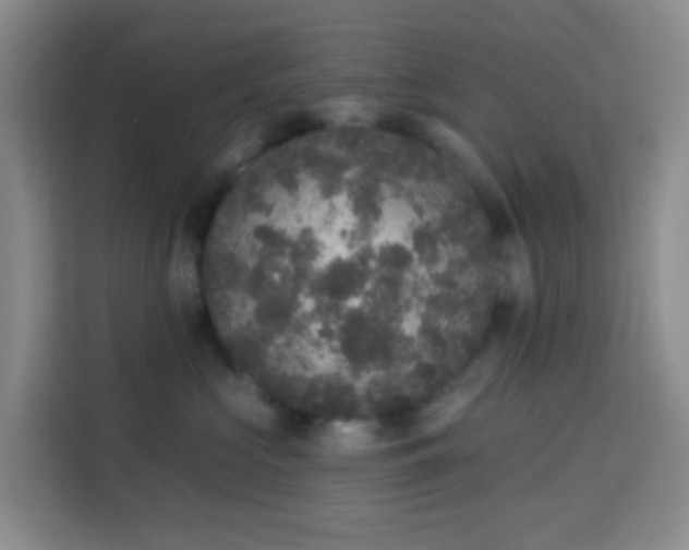 X0000114130573200910081247
