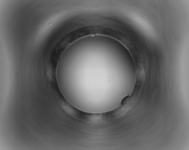 X0000114130574200910081247
