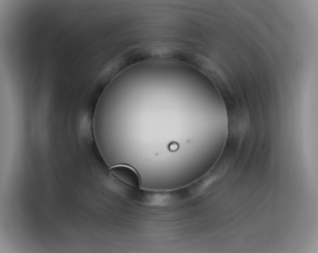 X0000114130575200910081247
