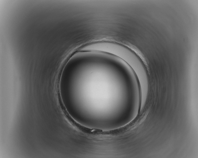 X0000114130577200910081246
