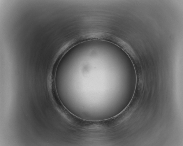 X0000114130578200910081246