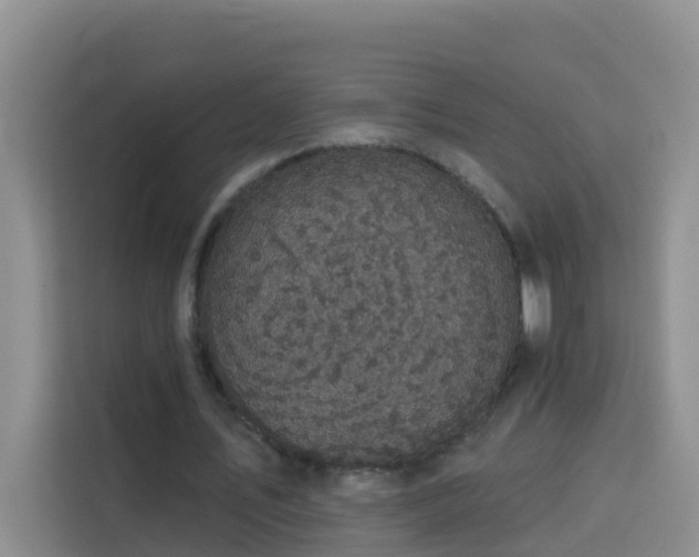 X0000114130579200910081246