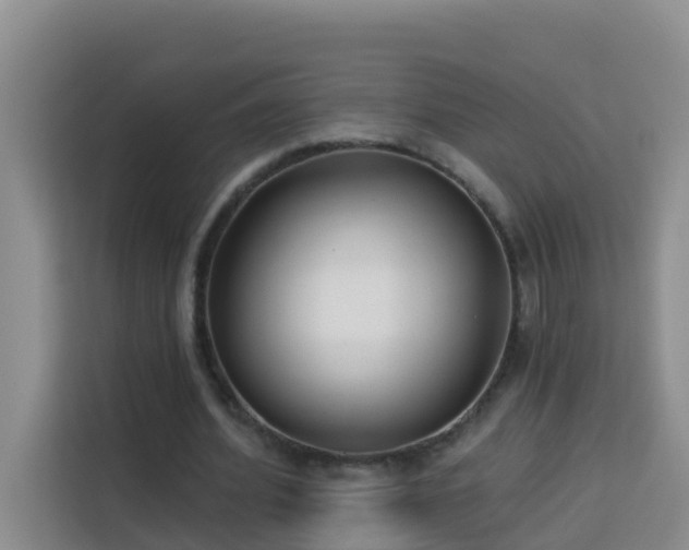 X0000114130580200910081246