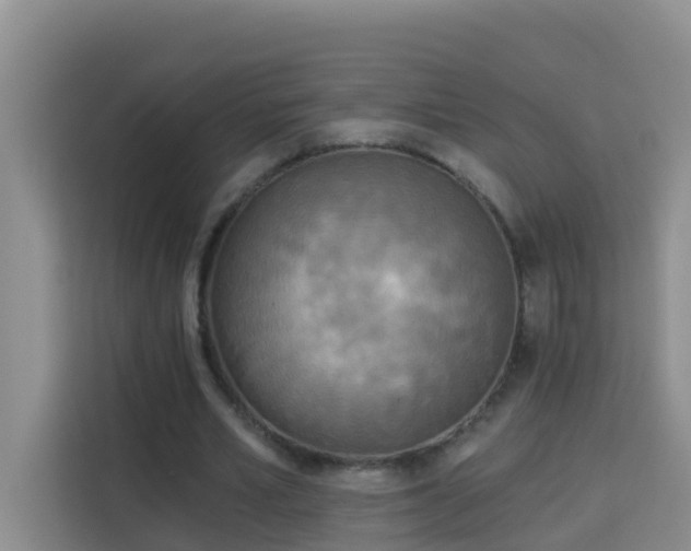 X0000114130581200910081246
