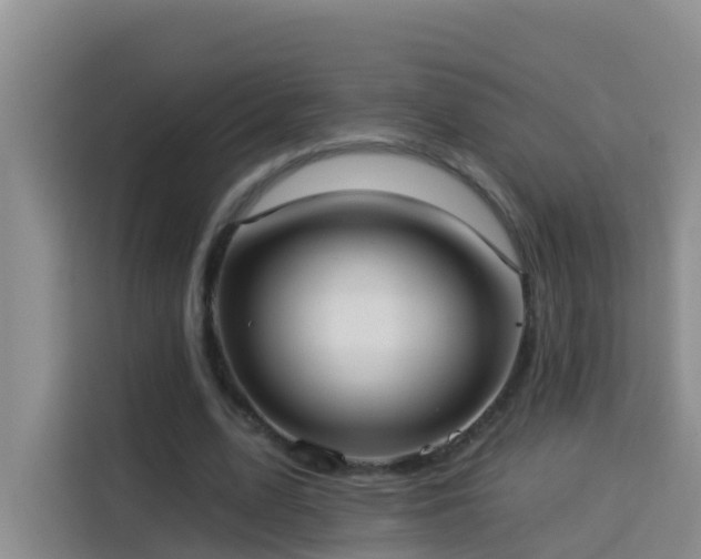 X0000114130583200910081246