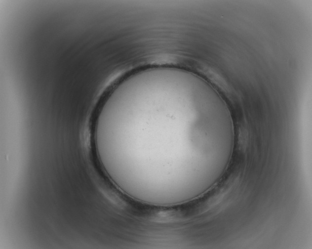 X0000114130584200910081246