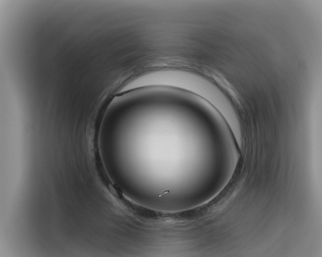 X0000114130585200910081246