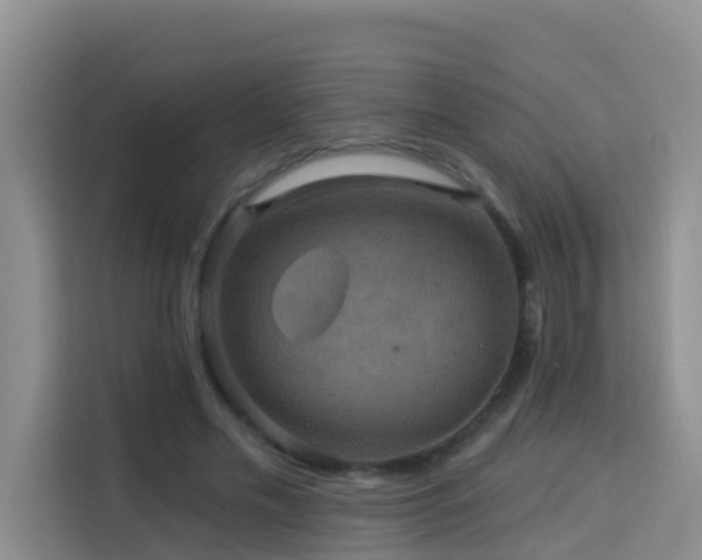 X0000114130589200910081246