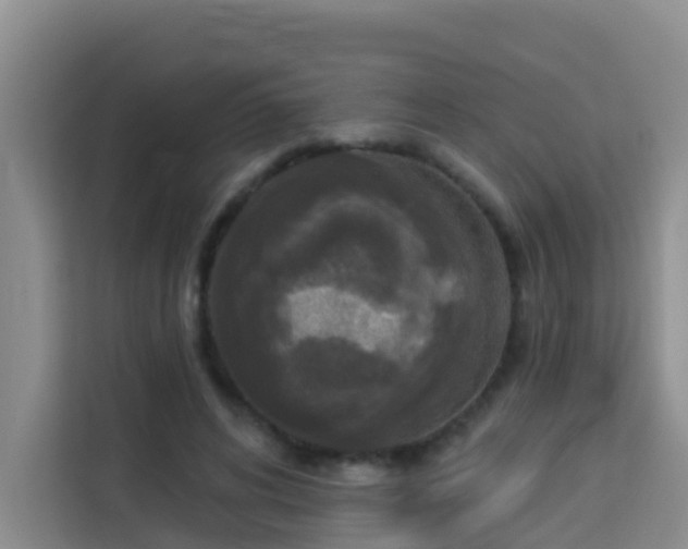 X0000114130592200910081246