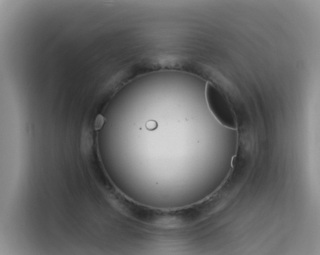 X0000114130593200910081246