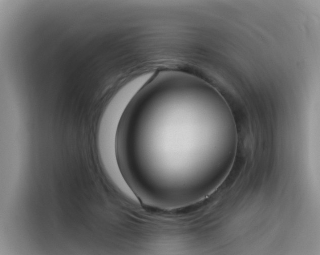 X0000114130595200910081246