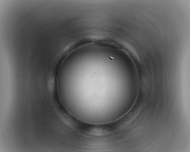 X0000114130596200910081246