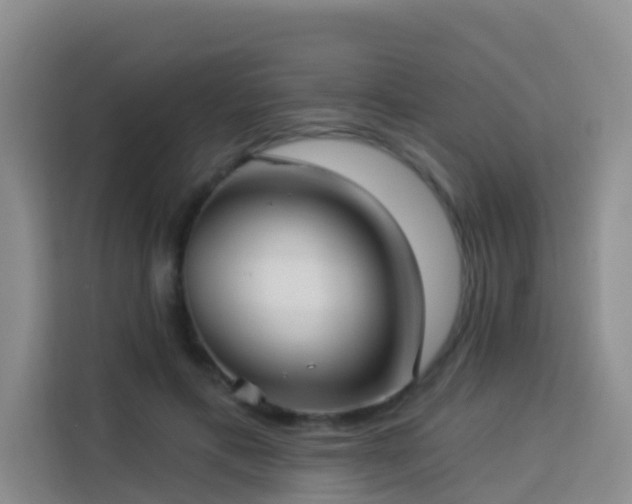 X0000114130597200910081246