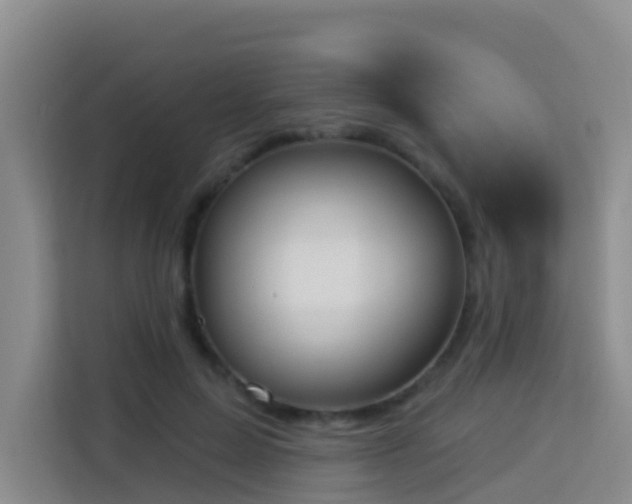 X0000114130599200910081246