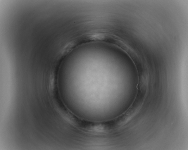 X0000114130600200910081246