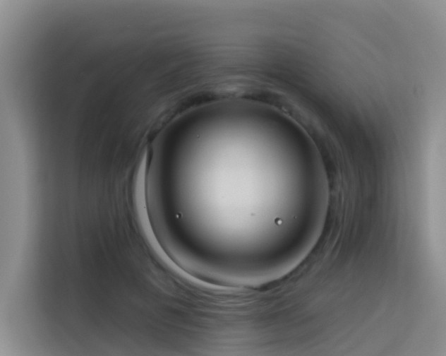 X0000114130601200910081246