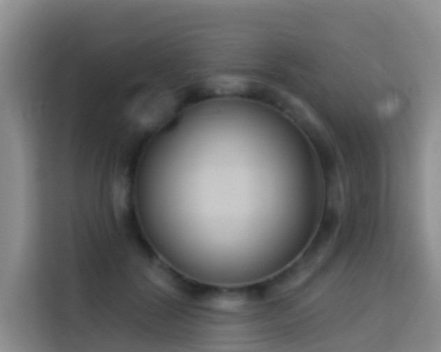 X0000114130604200910081246