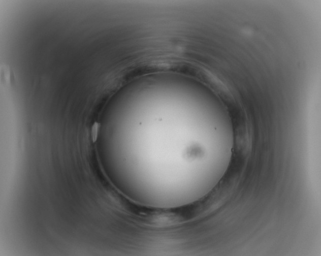 X0000114130605200910081246