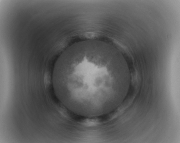 X0000114130606200910081246