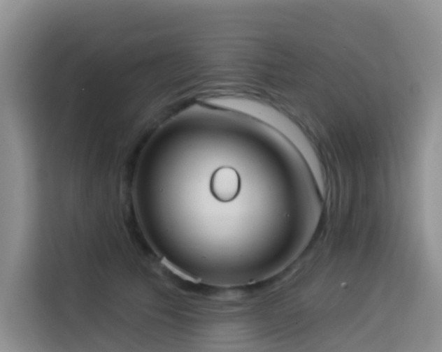 X0000114130609200910081246