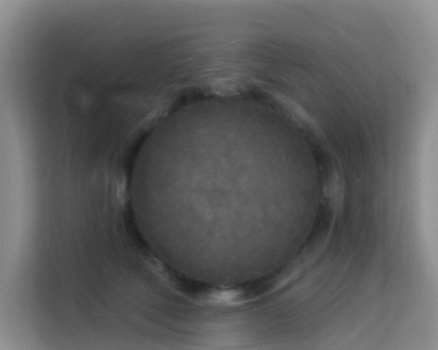 X0000114130610200910081246