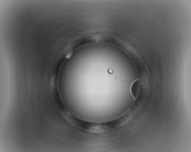 X0000114130611200910081246