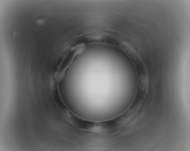 X0000114130612200910081246
