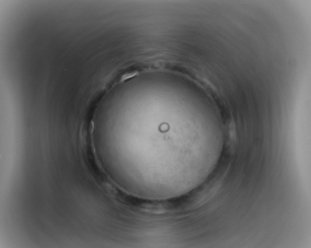 X0000114130615200910081246