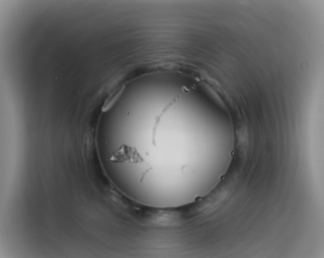 X0000114130617200910081246