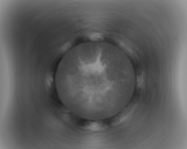 X0000114130618200910081246