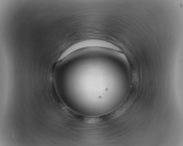 X0000114130621200910081246